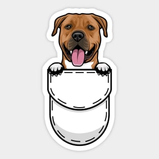 Funny American Staffordshire Terrier Pocket Dog Sticker